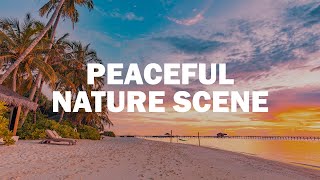 Peaceful Nature Scene For Relaxation 🌿 Music For Your Brain &amp; Wellbeing 🍀