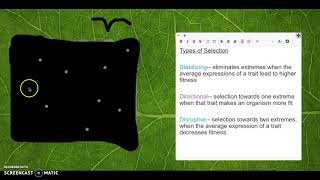 Types of Selection Video Tutorial