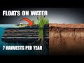 700 Years Without Fertilizer: Why Don't Agricultural Schools Teach This? | Forgotten Soil