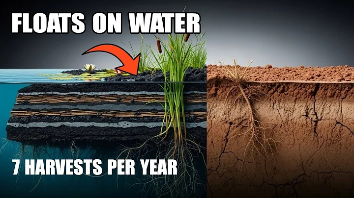 700 Years Without Fertilizer: Why Don't Agricultural Schools Teach This? | Forgotten Soil