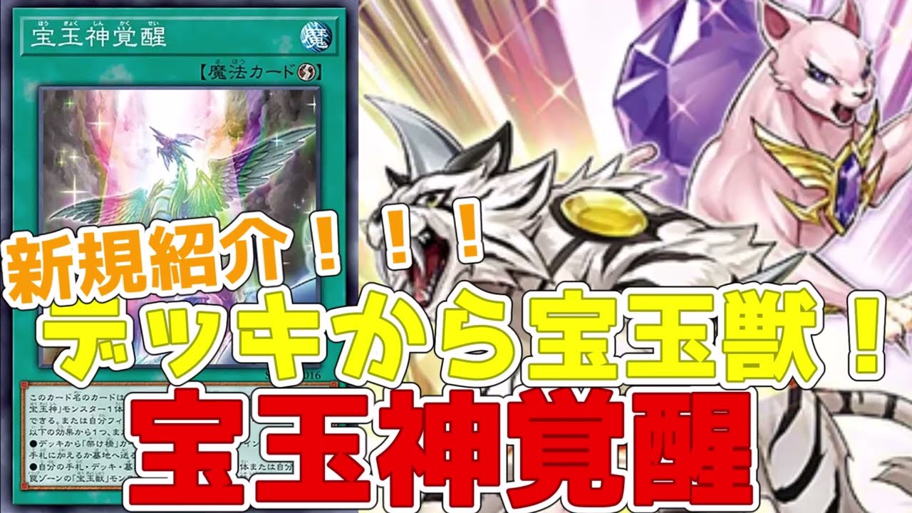 遊戯王】新規紹介！宝玉獣の魔法罠2枚！サーチに特殊で色々出来る