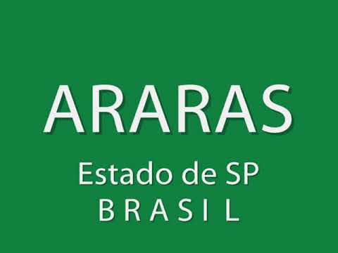 Cidades Paulistas: ARARAS - Estado de SÃ£o Paulo A 170 quilÃ´metros da capital do Estado, os habitantes de Araras desfrutam de uma infra-estrutura moderna, onde a arborizaÃ§Ã£o se faz presente nos quatro cantos da cidade. AliÃ¡s, hÃ¡ mais de um sÃ©culo, foi em Araras a realizaÃ§Ã£o da 1Âª Festa da Ãrvore no Brasil, considerado o PRIMEIRO movimento ecolÃ³gico do paÃ­s. Assim a cidade usa o lema "Cidade das Ãrvores", pois foi a primeira cidade do Brasil a organizar uma comemoraÃ§Ã£o em homenagem ao Dia da Ãrvore. ================= ENVIRONMENT: It has more than 100 years, s' is produced in the town of Ace plowed the realization of the 1Âª FÃªte of l' Tree in Brazil, considered FIRST ecomovement of the country. Thus the city uses the currency " ; City of Ãrvores" ; , therefore it was first Brazilian city to organize a commemoration in homage to the Day of l' Tree. ++++++++++ MEDIO AMBIENTE: Tiene mÃ¡s de 100 aÃ±os, s' se produce en la ciudad de As arado la realizaciÃ³n del 1Âª Fiesta de l' Ãrbol en el Brasil, en cuestiÃ³n PRIMER movimiento ecolÃ³gico del paÃ­s. AsÃ­ la ciudad utiliza la divisa " ; Ciudad del Ãrvores" ; , por lo tanto este fue primera ciudad brasileÃ±a que debe organizarse una conmemoraciÃ³n en homenaje al DÃ­a de l' Ãrbol. ++++++++++ ENVIRONNEMENT : Il a plus de 100 ans, s'est produit dans la ville de As labourÃ© la rÃ©alisation de la 1Âª FÃªte de l'Arbre au BrÃ©sil, considÃ©rÃ© PREMIER mouvement Ã©cologique du pays. Ainsi la ville utilise la devise " ; Ville du Ãrvores" ; , donc ce a Ã©tÃ© <b>...</b>