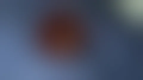 Бычий Цепень Солитер Лечение