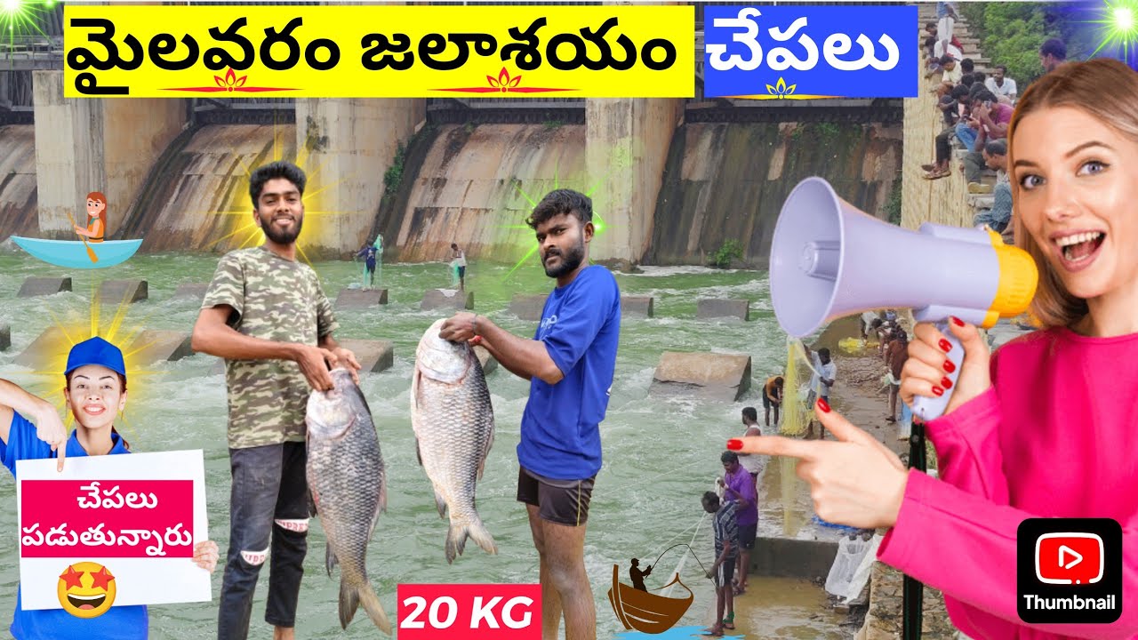 Mylavaram Dam Today latest videos  | fishing in Mylavaram Dam  | Srisailam Dam gates open video