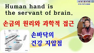손금의 원리와 과학적 접근