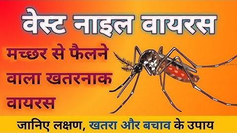 क्या है वेस्ट नाइल वायरस? मच्छरों से फैलने वाला खतरनाक वायरस || कारण, लक्षण और बचाव की पूरी जानकारी