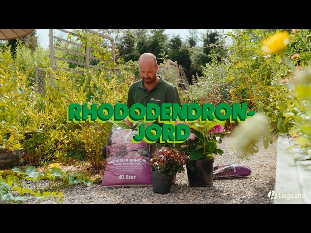 Hageland Rhododendronjord  - YouTube