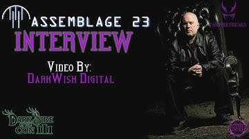 Assemblage 23 Interview
