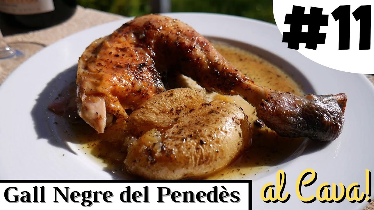 🐓 Gall Negre del Penedès al Cava! 🍾 Cuina a la Cava! #11 - Solà Raventós