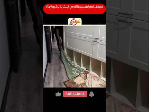 مواقف ذكية هترجع ثقتك في البشرية شوية ج54