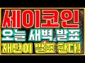 [세이코인] &quot;🔥 확실한 새벽 발표 내용!!&quot;🔥 확인하고 가세요!&quot;🔥