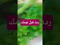 ردد قبل نومك الرحمن ادعيه اذكار تسبيح دعاء حديث نبوي اكسبلور 