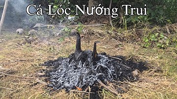 Cá Lóc Nướng Trui Rai Rai Cùng Anh Em|| Giang Ca SB # 52