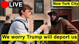 Nick Shirley alleges: IRL Migrants React to Trump Winning the Election