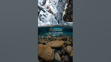 رعد الكردي:سورة الروم الاية:(٤٠-٤١)