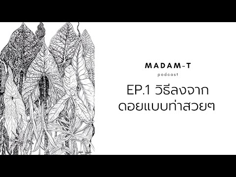 Madam-T podcast EP.1 l วิธีลงจากดอยแบบท่าสวยๆ