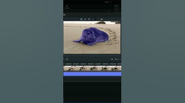 Remove or replace a VIDEO BACKGROUND in SECONDS with Filmora 12 #shorts