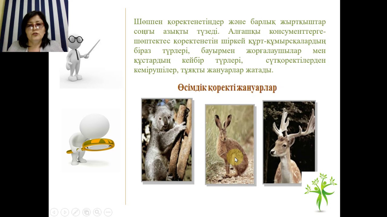 Экожүйенің трофикалық құрамы. Қоректік тізбек