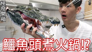 【尊】買了一顆鱷魚頭來煮火鍋!?
