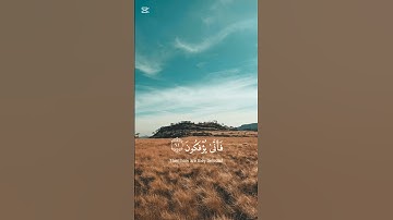 《《سوره العنكبوت》》الشيخ عبدالرحمن مسعد🕋[]اكتب شيء تؤجر عليه[]