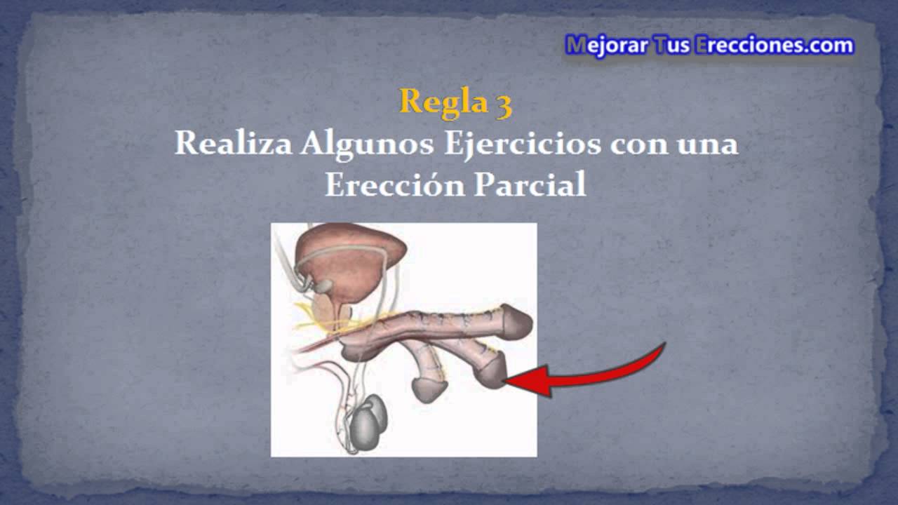 Ereccion ejercicios pene para