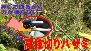 楽に切れる高枝切りハサミ  《ムサシ すご腕プッシュカット》