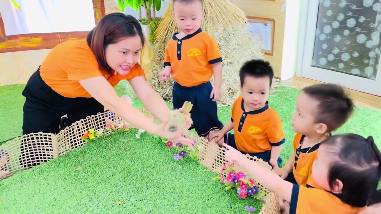 Nhận biết tập nói con vịt - Mầm non Kiến Hưng