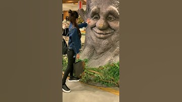 Thumbnail of Amazing Smile Tree Status 😯| Save Tree | Tree Plantation Whatsapp Status | Amazing Tree Lover Status