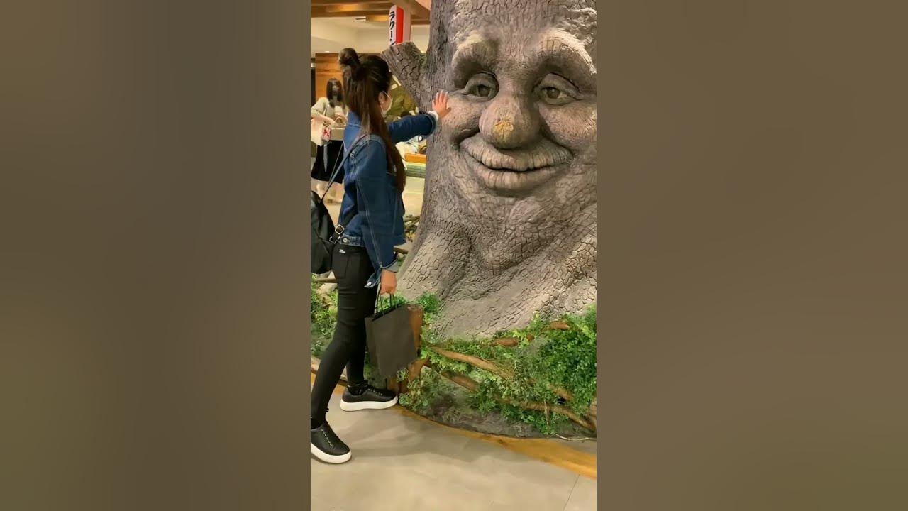Amazing Smile Tree Status π―| Save Tree | Tree Plantation Whatsapp Status | Amazing Tree Lover Status Amazing Smile Tree Status π―| Save Tree | Tree Plantation Whatsapp Status | Amazing Tree Lover Status