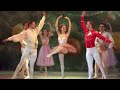 The Best Of Ballet Swan Lake Beautiful Dance Classical Music For Studying Relaxation