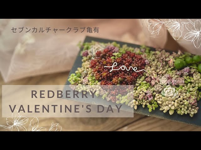 レッドベリーのバレンタイン』多肉植物 多肉寄せ植え Horticulture