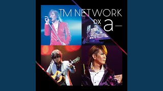 Green days 2013 (LIVE at さいたまスーパーアリーナ/2013年