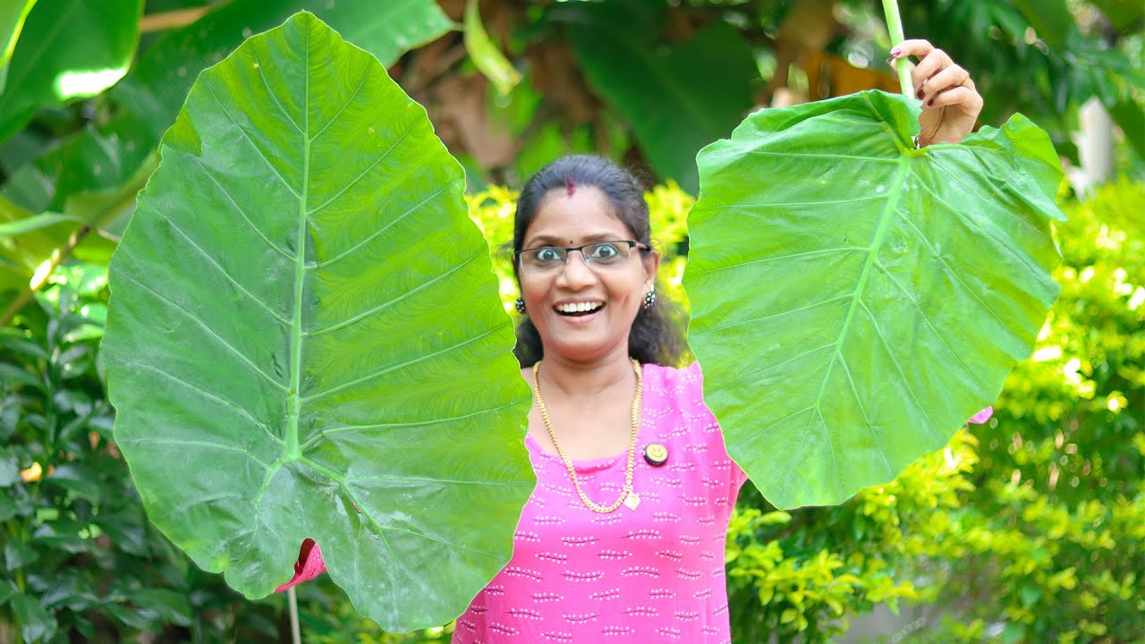 എന്റെ പൊന്നോ ഇതിനൊക്കെ ഇത്രയും ടേസ്റ്റ് ഉണ്ടായിരുന്നോ?💯👌 | ചീരചേമ്പ് തോരൻ | Cheerulli Media