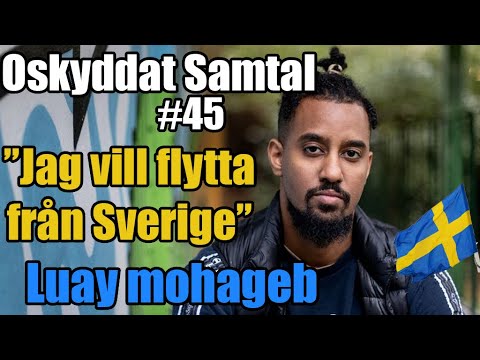 Fly Sverige, Ortensvenska & Porr #45 Luay Mohageb