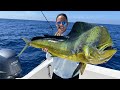 Deep Sea Fishing! {Catch Clean Cook} Mahi Piccata