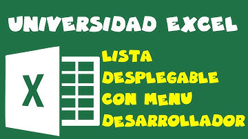 Lista desplegable con menu Programador (Cuadro Combinado)