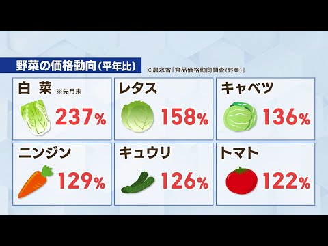 例年比白菜２３７％ キャベツ１３６％ 野菜が高い！お好み焼き店も悲鳴 価格高騰いつまで続く？