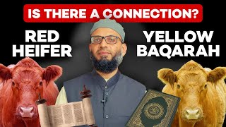 Red Heifers and the Sura Baqara Connection - Fact or Fiction?
