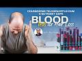 Blood Tests for Hair Loss | How to Diagnose Telogen Effluvium & Nutrient Deficiencies.