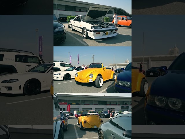 CAR Enthusiasts Will LOVE This Epic Car Tour!
