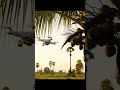A coconut tree fell on a drone #velocidrone #drone #djiosmoactio #aivideo #short #sorts