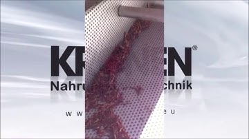 Máy rửa Nho khô Công Nghiệp của Đức