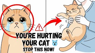 7 Things Your Cat Hates But You Still Do 😿 (Stop Now!) Most cat owners make these mistakes every day
