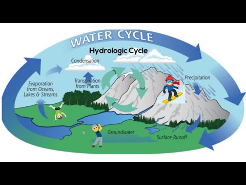 The water (hydrologic) cycle