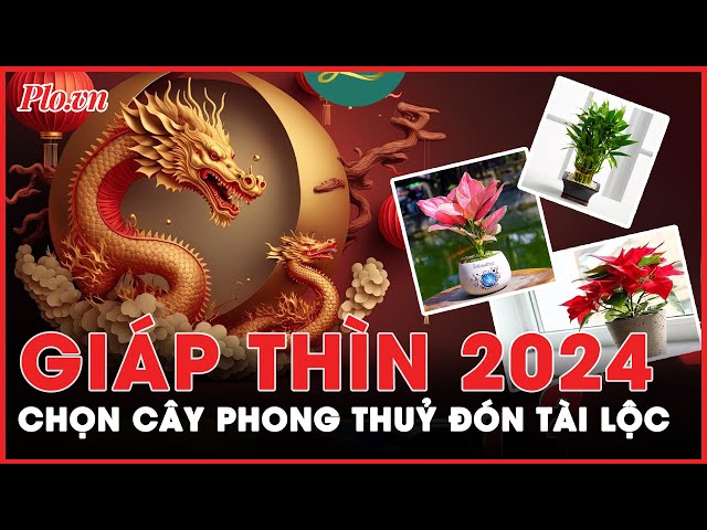 10. Kết luận và hướng dẫn hành động