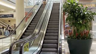 Chicago Midway International Airport July 2023 | Ticketing, Baggage Claim, Parking Walking Tour