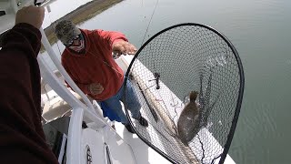 May 4th  6th 2022 Wachapreague, Virginia Flounder Fishing