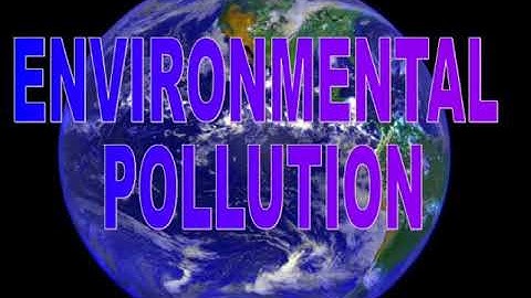 Class8| Social Science| Chap-2| Environmental Pollution | Part-1