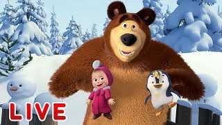 Masha and the Bear ???????? LIVE STREAM ???????? All episodes for kids ???? Cartoon live best episodes