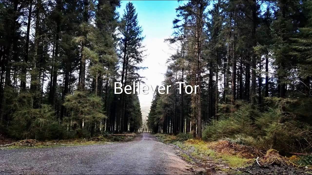 Zwiedzamy Anglię Bellever Tor Dartmoor National Park